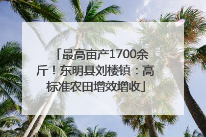 最高亩产1700余斤！东明县刘楼镇：高标准农田增效增收