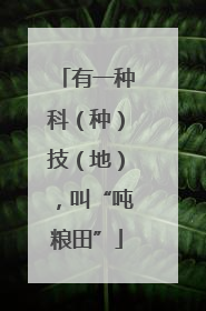 有一种科（种）技（地），叫“吨粮田”