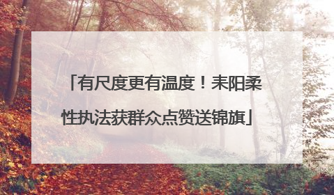 有尺度更有温度！耒阳柔性执法获群众点赞送锦旗