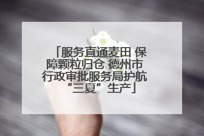 服务直通麦田 保障颗粒归仓 德州市行政审批服务局护航“三夏”生产