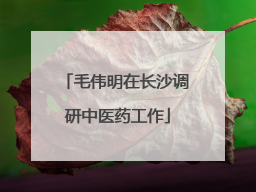毛伟明在长沙调研中医药工作