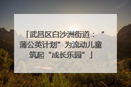 武昌区白沙洲街道：“蒲公英计划”为流动儿童筑起“成长乐园”