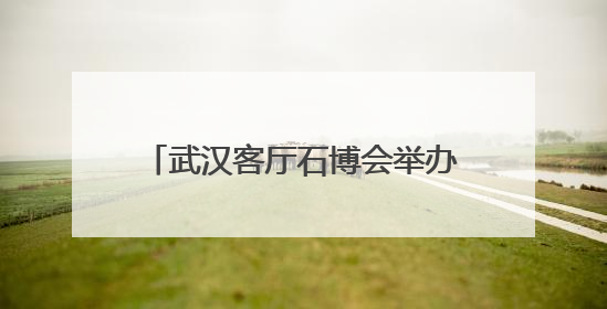 武汉客厅石博会举办十周年庆典 打造全国石文化交流新高地