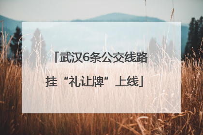 武汉6条公交线路挂“礼让牌”上线