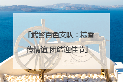 武警百色支队：粽香传情谊 团结迎佳节