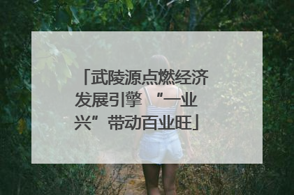 武陵源点燃经济发展引擎 “一业兴”带动百业旺