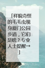 样貌奇怪的毛毛虫现身厦门公园步道，它们是啥？专业人士提醒→