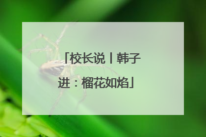 校长说丨韩子进：榴花如焰