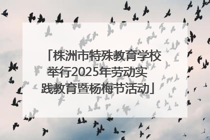 株洲市特殊教育学校举行2025年劳动实践教育暨杨梅节活动