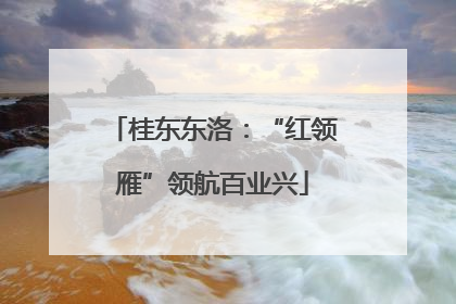 桂东东洛：“红领雁”领航百业兴