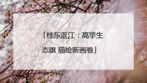 桂东沤江：高擎生态旗 描绘新画卷
