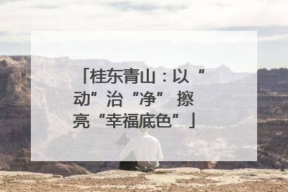 桂东青山：以“动”治“净” 擦亮“幸福底色”