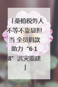 桑植税务人不等不靠显担当 全员捐款助力“6·18”洪灾重建