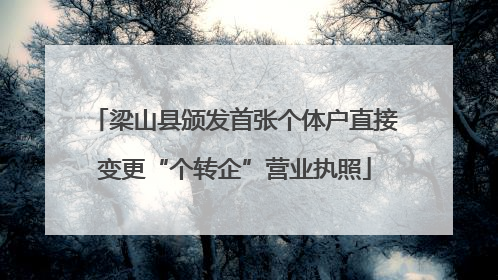 梁山县颁发首张个体户直接变更“个转企”营业执照