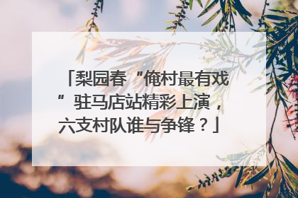 梨园春“俺村最有戏”驻马店站精彩上演，六支村队谁与争锋？