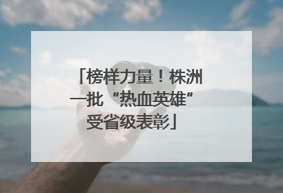 榜样力量！株洲一批“热血英雄”受省级表彰