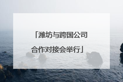 潍坊与跨国公司合作对接会举行
