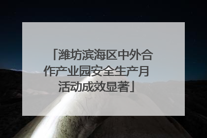 潍坊滨海区中外合作产业园安全生产月活动成效显著