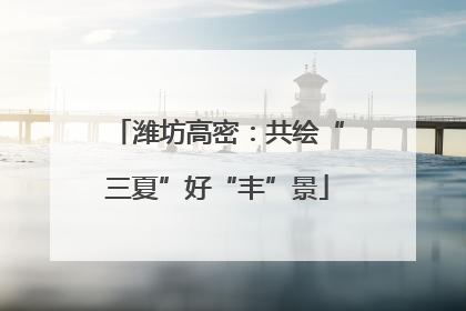 潍坊高密：共绘“三夏”好“丰”景