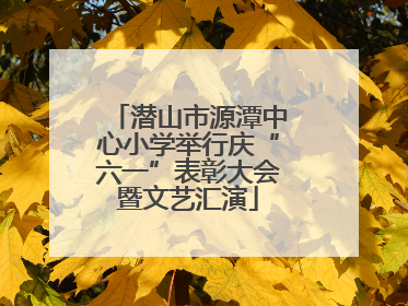 潜山市源潭中心小学举行庆“六一”表彰大会暨文艺汇演