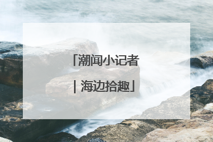 潮闻小记者｜海边拾趣
