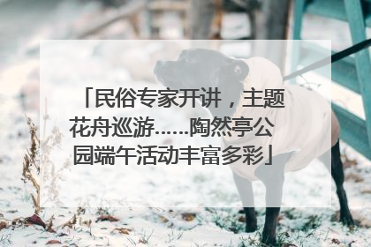 民俗专家开讲，主题花舟巡游……陶然亭公园端午活动丰富多彩