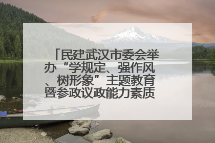 民建武汉市委会举办“学规定、强作风、树形象”主题教育暨参政议政能力素质提升培训班