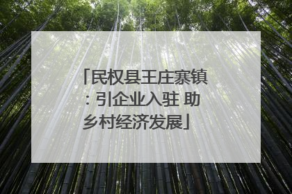 民权县王庄寨镇：引企业入驻 助乡村经济发展