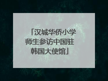 汉城华侨小学师生参访中国驻韩国大使馆