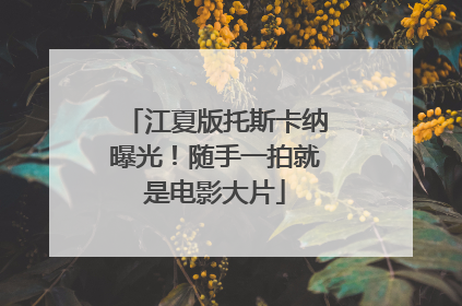 江夏版托斯卡纳曝光！随手一拍就是电影大片