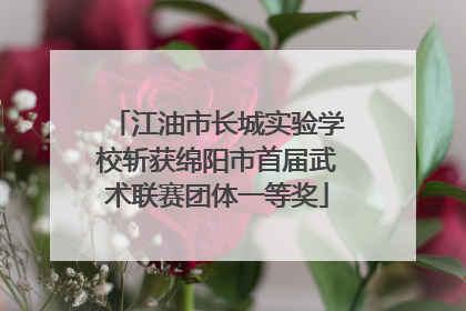 江油市长城实验学校斩获绵阳市首届武术联赛团体一等奖