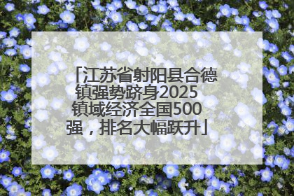 江苏省射阳县合德镇强势跻身2025镇域经济全国500强，排名大幅跃升
