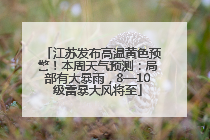 江苏发布高温黄色预警！本周天气预测：局部有大暴雨，8—10级雷暴大风将至