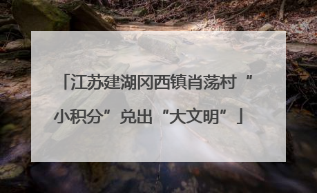 江苏建湖冈西镇肖荡村“小积分”兑出“大文明”