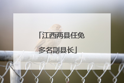 江西两县任免多名副县长