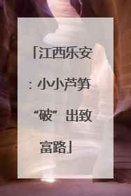 江西乐安：小小芦笋“破”出致富路