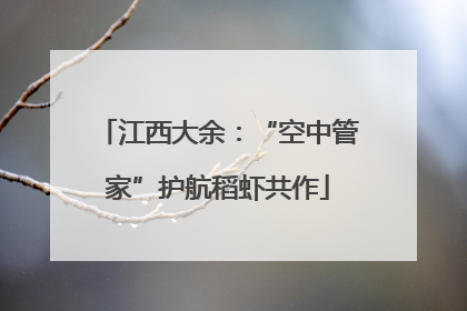 江西大余：“空中管家”护航稻虾共作