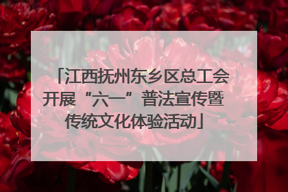 江西抚州东乡区总工会开展“六一”普法宣传暨传统文化体验活动