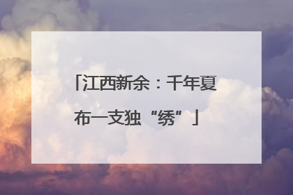 江西新余：千年夏布一支独“绣”