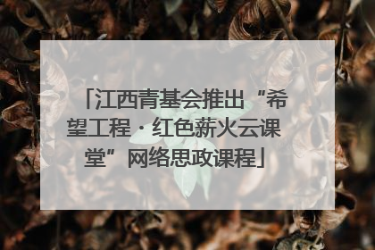 江西青基会推出“希望工程・红色薪火云课堂”网络思政课程