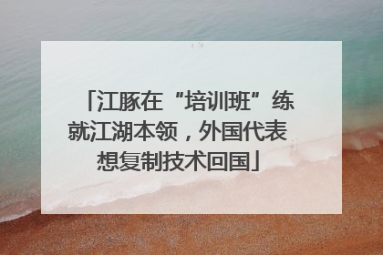 江豚在“培训班”练就江湖本领，外国代表想复制技术回国