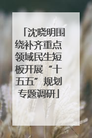 沈晓明围绕补齐重点领域民生短板开展“十五五”规划专题调研