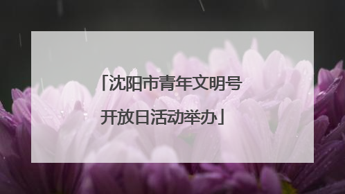 沈阳市青年文明号开放日活动举办