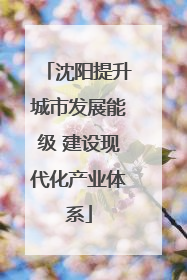 沈阳提升城市发展能级 建设现代化产业体系