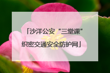沙洋公安“三堂课”织密交通安全防护网