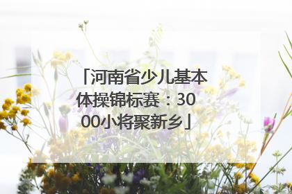 河南省少儿基本体操锦标赛：3000小将聚新乡