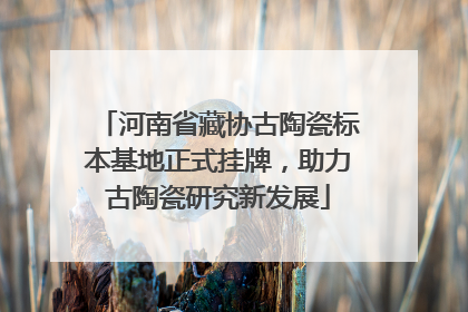 河南省藏协古陶瓷标本基地正式挂牌，助力古陶瓷研究新发展