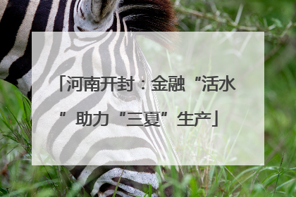 河南开封：金融“活水”助力“三夏”生产