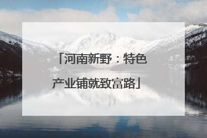 河南新野：特色产业铺就致富路