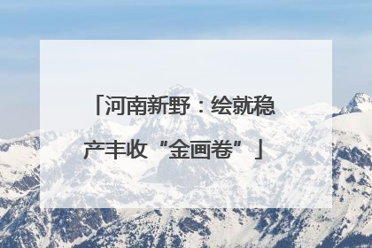 河南新野：绘就稳产丰收“金画卷”